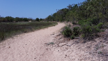 POINTE SUD D OLERON PAR SAINT-TROJAN-charente-maritime