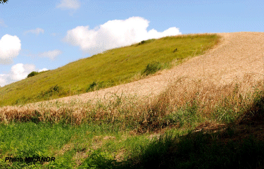 Arces sur Gironde-charente-maritime