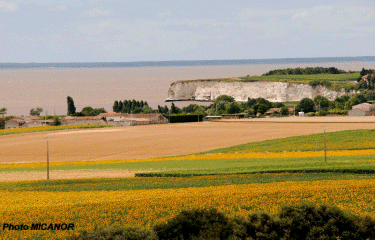 Arces sur Gironde-charente-maritime