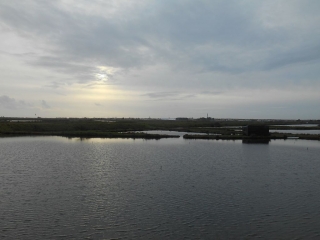 ARS EN RE-charente-maritime