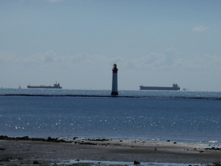 RIVEDOUX - SENTIER DU LITTORAL-charente-maritime