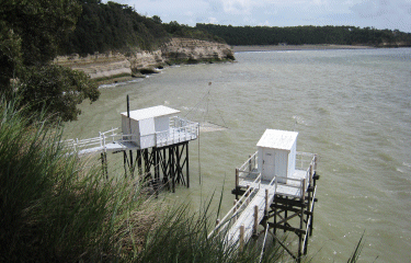 Meschers - Vergnes-charente-maritime