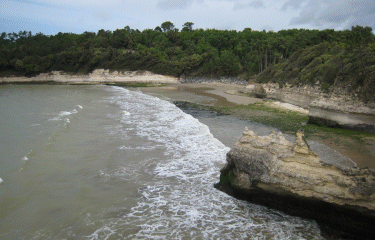 Meschers - Vergnes-charente-maritime