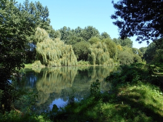 TONNAY-BOUTONNE-charente-maritime