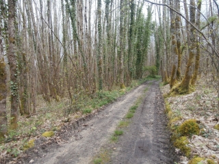 AUTOUR DE BEDENAC-charente-maritime