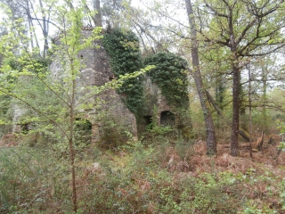 AUTOUR DE BEDENAC-charente-maritime