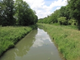 CANAL DE LA SAULDRE-cher
