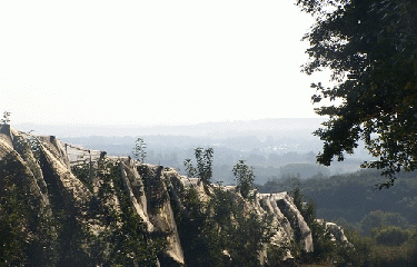 FORET DE BOURGNEUF-cher