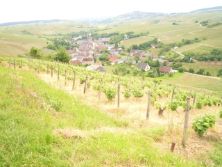 SANCERRE-cher