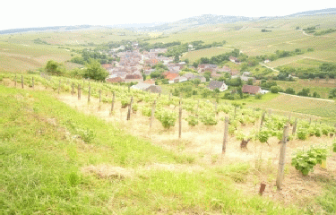 SANCERRE-cher
