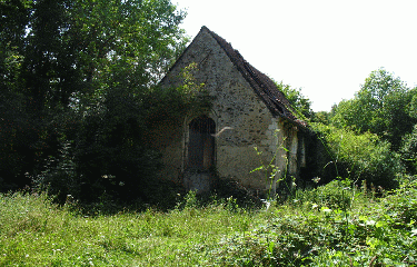 SUD DE LA FORET D ALLOGNY-cher