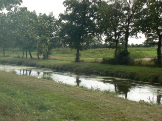 ETANG DU PUITS - ANCIEN CANAL DE LA SAULDRE-cher