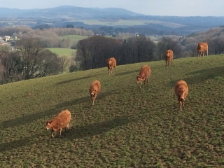 CHAMBERET - PUY DU SAUMON-correze