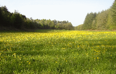 LES MONEDIERES-correze