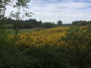 TREIGNAC - AUXILLIAT - USSANGE - BOISSE-correze