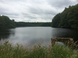 LE MONT CEIX - L ETANG DE CROS-correze