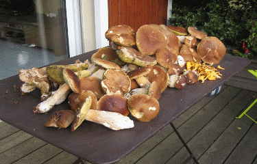 TREIGNAC (1)-correze