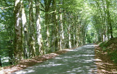 TREIGNAC (1)-correze