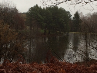 MAGOUTIERE - MARLIANGEAS - CAMPAGNE CORREZIENNE-correze