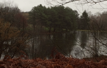 MAGOUTIERE - MARLIANGEAS - CAMPAGNE CORREZIENNE-correze