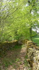 MONEDIERES - MADRANGES ET VEIX-correze
