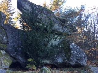 TREIGNAC - LA PIERRE DES DRUIDES-correze