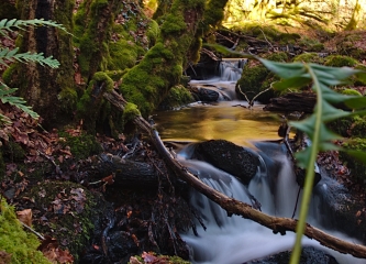 BALADE DOUSTRE ET PLATEAU DES ETANGS-correze