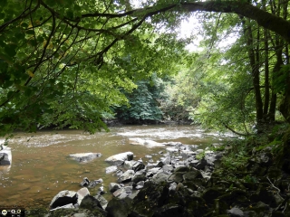 CIRCUIT DANS LES GORGES DE LA VEZERE-correze