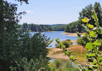 millevaches-en-limousin - TOUR DU LAC DE VIAM