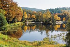 SAINT-AUGUSTIN - BESSAC - ETANG GANEZANDE-correze