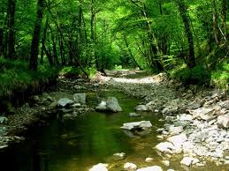 AUTOUR DE CORREZE-correze