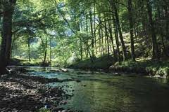 VILLAGE DE CORREZE - LE BESSOU-correze