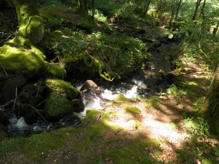 MASSIF DES MONEDIERES-correze