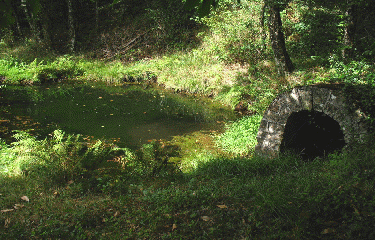 CHEMIN  DE L ANCIEN TRAMWAY-correze