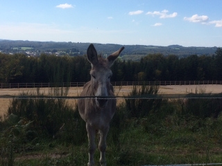 CHAMBERET - LES ROCHES DE SCOEUX-correze