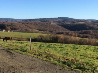 SOUDAINE LAVINADIERE (2)-correze
