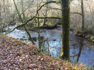SOUDAINE LAVINADIERE (2)-correze