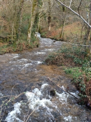 MERCIEL - LE LONZAC-correze