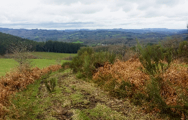 TARNAC- PANORAMAS ET DECOUVERTE-correze