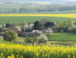 LA FORET DU MONT BANY-aisne