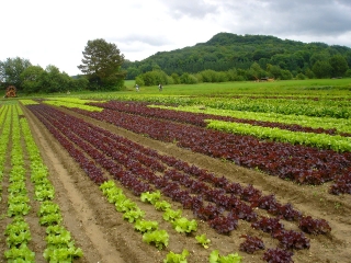 LE MONT HERAUT-aisne