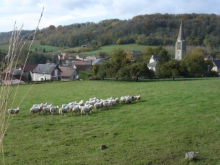 SANCY - AIZY-JOUY-aisne