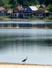 A L ASSAUT DU CHEMIN DES DAMES-aisne