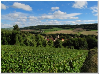 LA CHAPELLE-MONTHODON -  LE COQ ET LE RENARD-aisne