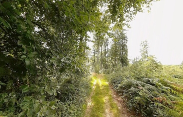 VILLERS-COTTERêTS - UNE FORêT PLUS GRANDE QUE PARIS-aisne
