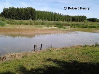 LIESSE-NOTRE-DAME – LE BOIS SEMé-aisne