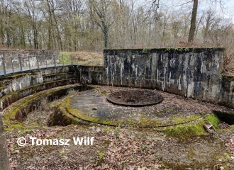COUCY-LE-CHATEAU-AFFRIQUE – LE CANON DE COUCY-aisne