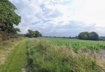 VERMAND - DES MARéCAGES AUX PORTES DE LA PLAINE.-aisne