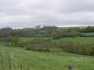 PARGNY LA DHUYS (02) - LE VALLON DE LA VERDONNDELLE