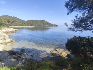 FORNALI
